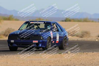 media/Oct-15-2023-Lucky Dog Racing Chuckwalla (Sun) [[f659570f60]]/4th Stint Turn 4 Tree of Life/